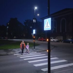 Smart Pedestrian Crossing System